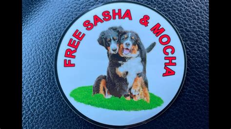 Free sasha